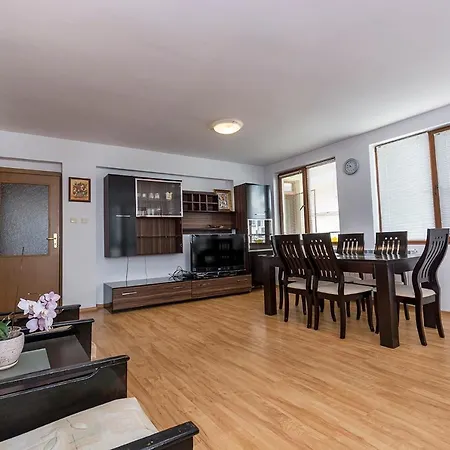 公寓 Kristina Apartment 布尔加斯